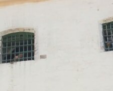 Тюрьма. Фото: скриншот YouTube-видео