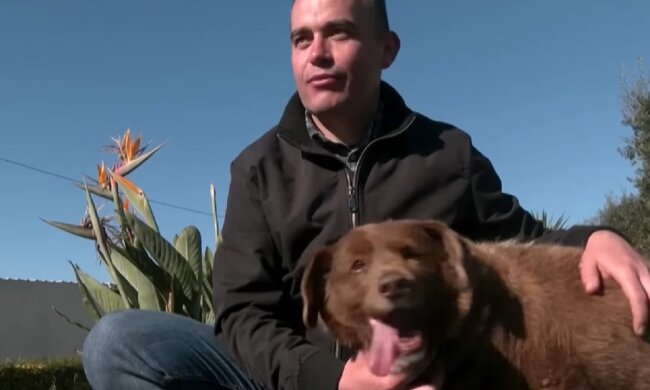 Собака. Фото: youtube.com