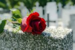 Проведать могилы родных пустят не всех: появились новые правила, киевлян предупредили