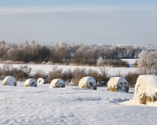 Право собственности на земельные участки нужно будет подтвердить. Фото иллюстративное