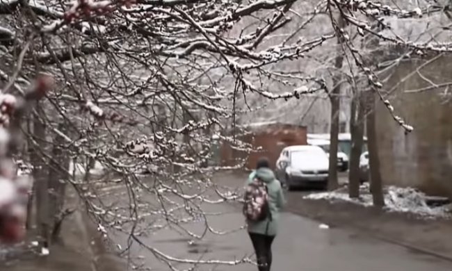 Синоптики предупредили о заморозках и снегопадах в Украине. Фото: скриншот YouTube
