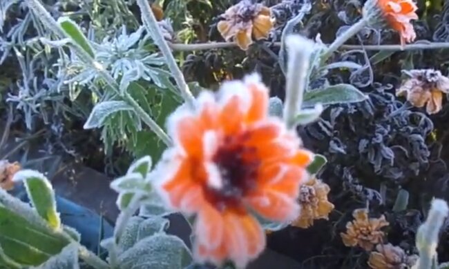 В Укргідрометцентрі попередили про сильні заморозки. Фото: скріншот YouTube-відео