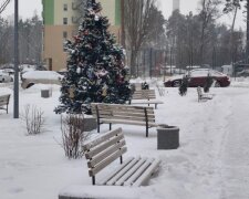 Ожеледиця та сніг по всій Україні: що чекати від погоди вночі та 8 лютого