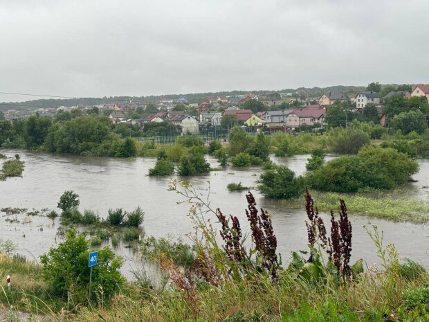 Негода у Львові, фото: Телеграм