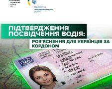 Проверка водительского удостоверения через сайт Главного сервисного центра МВД