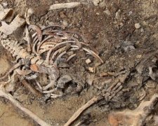 Исследователи раскрыли многовековую тайну братской могилы: истребили 15 человек