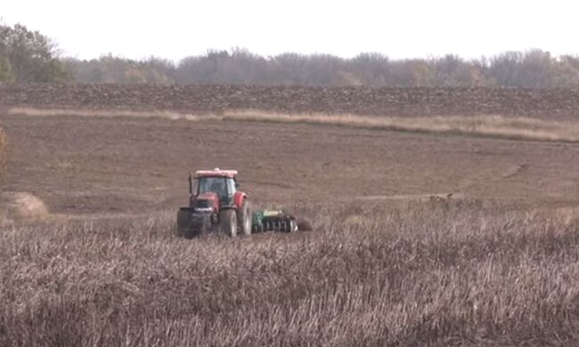 Земельный участок. Фото: скриншот YouTube-видео