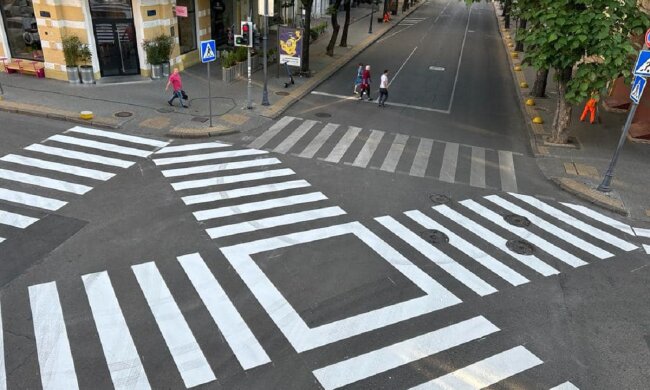 Диагональная зебра. Фото: facebook