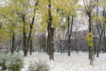 Киев. Снег в парке "Веселка". Фото: Facebook, Tanya Tymoshenko