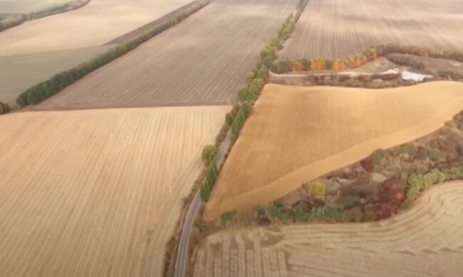 Земля. Фото: YouTube, скрін