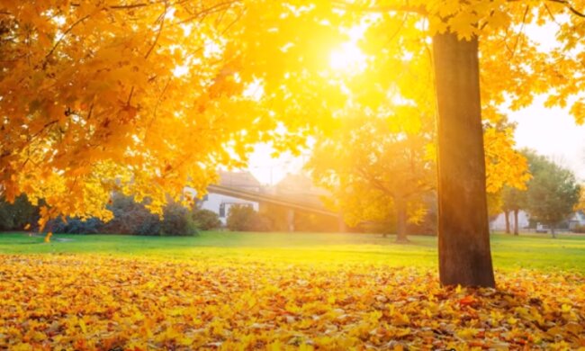 Погода на 12 октября 2020 года