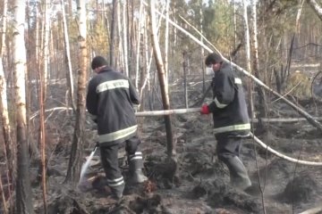 На Житомирщине новые пожары. Фото: youtube