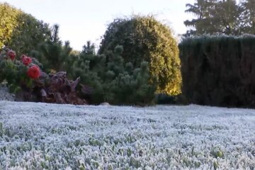 Заморозок. Фото: скриншот YouTube-видео