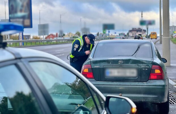 Никаких бумажных свидетельств: в МВД предупредили водителей, особенно новичков