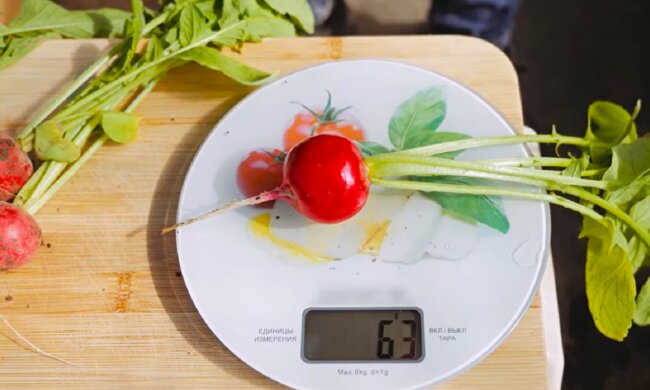 Редька. Фото: YouTube