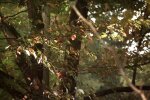 Погода. Фото: YouTube, скрін