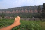 Огород. Фото: YouTube, скрин