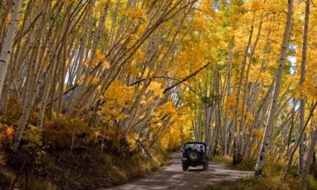 Погода на 8 ноября 2020 года