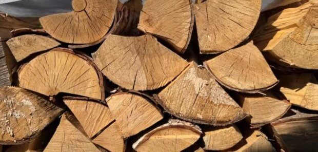 В преддверии тяжелой зимы: украинцам ответили на главные вопросы об отоплении дровами