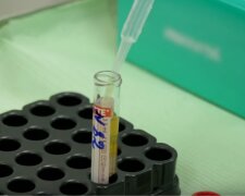 В лаборатории делают шесть анализов крови. Фото: скриншот YouTube-видео