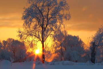 Природа. Фото: скріншот YouTube-відео