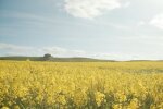 Природа.  Фото: скриншот YouTube-видео