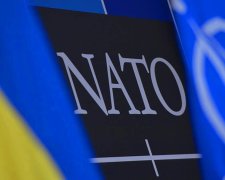Украина-НАТО, фото: 24 Канал