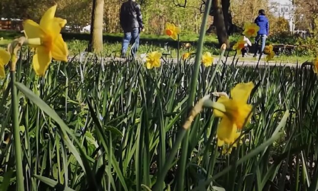Пенсіонери в Україні. Фото: YouTube, скрін