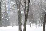 Снежная погода. Фото: скриншот YouTube-видео
