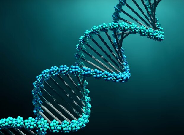 Изучение генов. Фото: скриншот YouTube