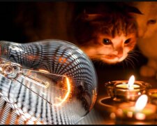 Отключение света, графики. Фото: Telegram