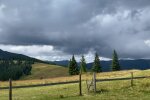 Природа Карпат. Фото: скріншот YouTube-відео