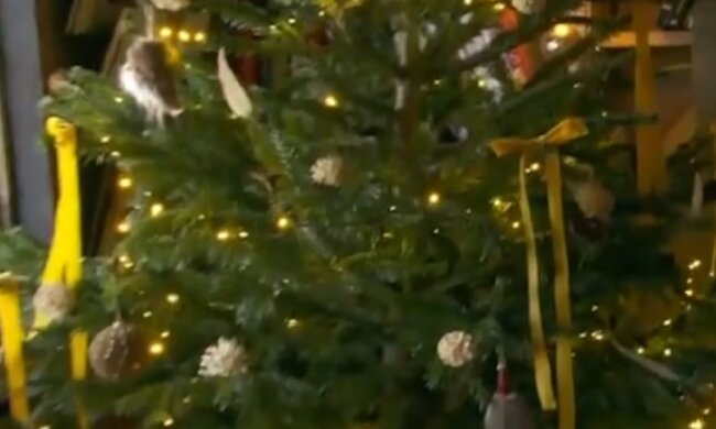 Новогодняя елка. Фото: скриншот Youtube