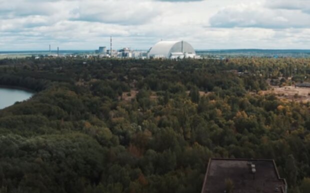Чернобыльский сезон: из зоны ЧАЭС везут десятки килограмм ягод на продажу – от радиации начнете светиться