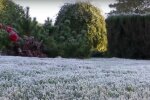 Мороз. Фото: скриншот YouTube-видео
