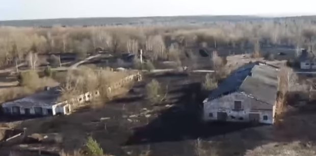 Чернобыльская зона после пожара. Фото: скиншот Youtube