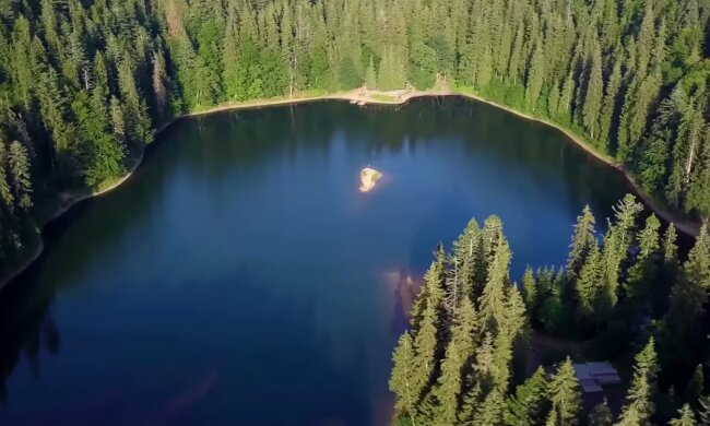 Природа. Фото: скріншот YouTube-відео