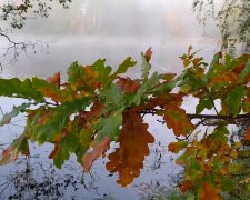 В Укргідрометцентрі повідомили про погоду на суботу, 27 вересня. Фото: YouTube