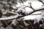 Погода в Украине. Фото: скриншот Youtube-видео