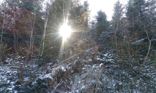 Зимнее утро. Фото: Ukrainianwall