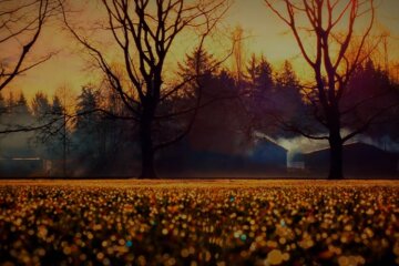 Погода 22 октября 2020 года