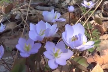 Погода на 10 марта 2020 года