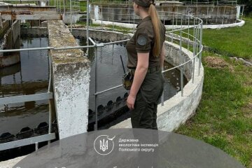 Финальный аккорд в судебном противостоянии: ООО «КЭС» заплатит более 1,6 млн грн за отравление реки Гнилопять