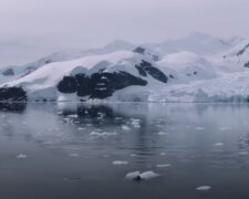 Мир на пороге новых эпидемий: в Арктике просыпаются новые вирусы