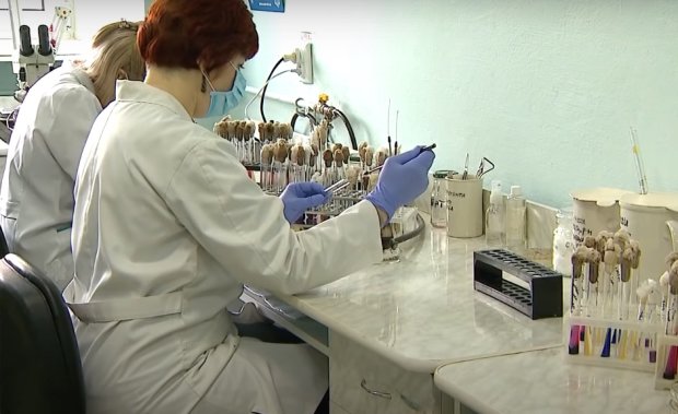 Украинцев обяжут пройти тест на коронавирус. Фото: Факты, скрин