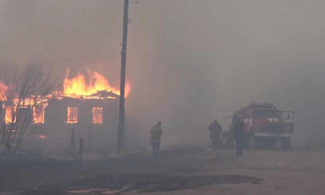 В Житомирской области - новые очаги. Фото: скрин youtube
