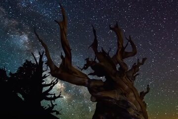 Зоряне небо. Фото: скріншот YouTube-відео