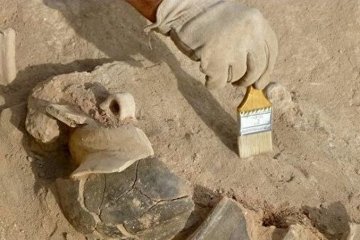 Раскопки, фото: РИА Новости