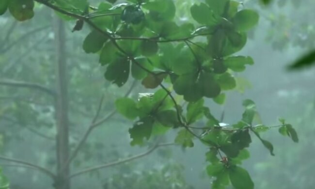 Синоптики составили новый прогноз погоды. Фото: youtube