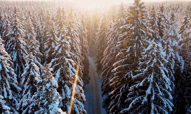 Природа. Фото: скріншот YouTube-відео